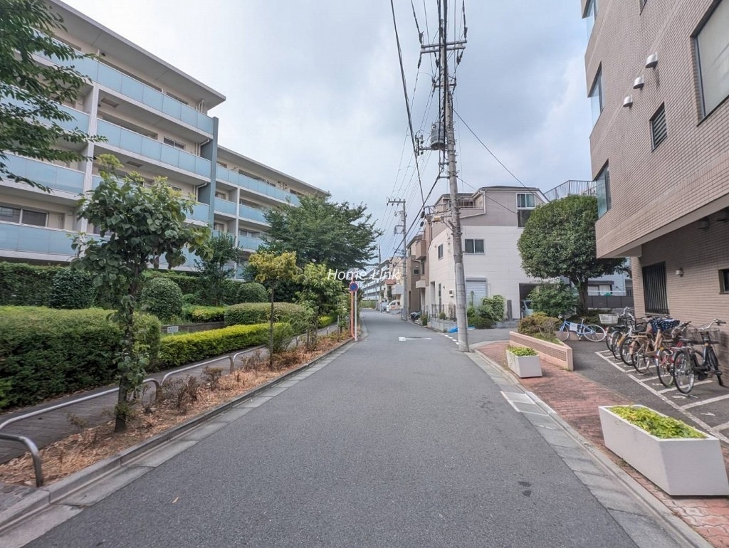 ファミール成増　南側 前面道路